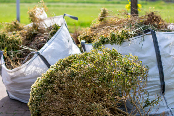 Best Shed Removal  in Spring Lake, NJ